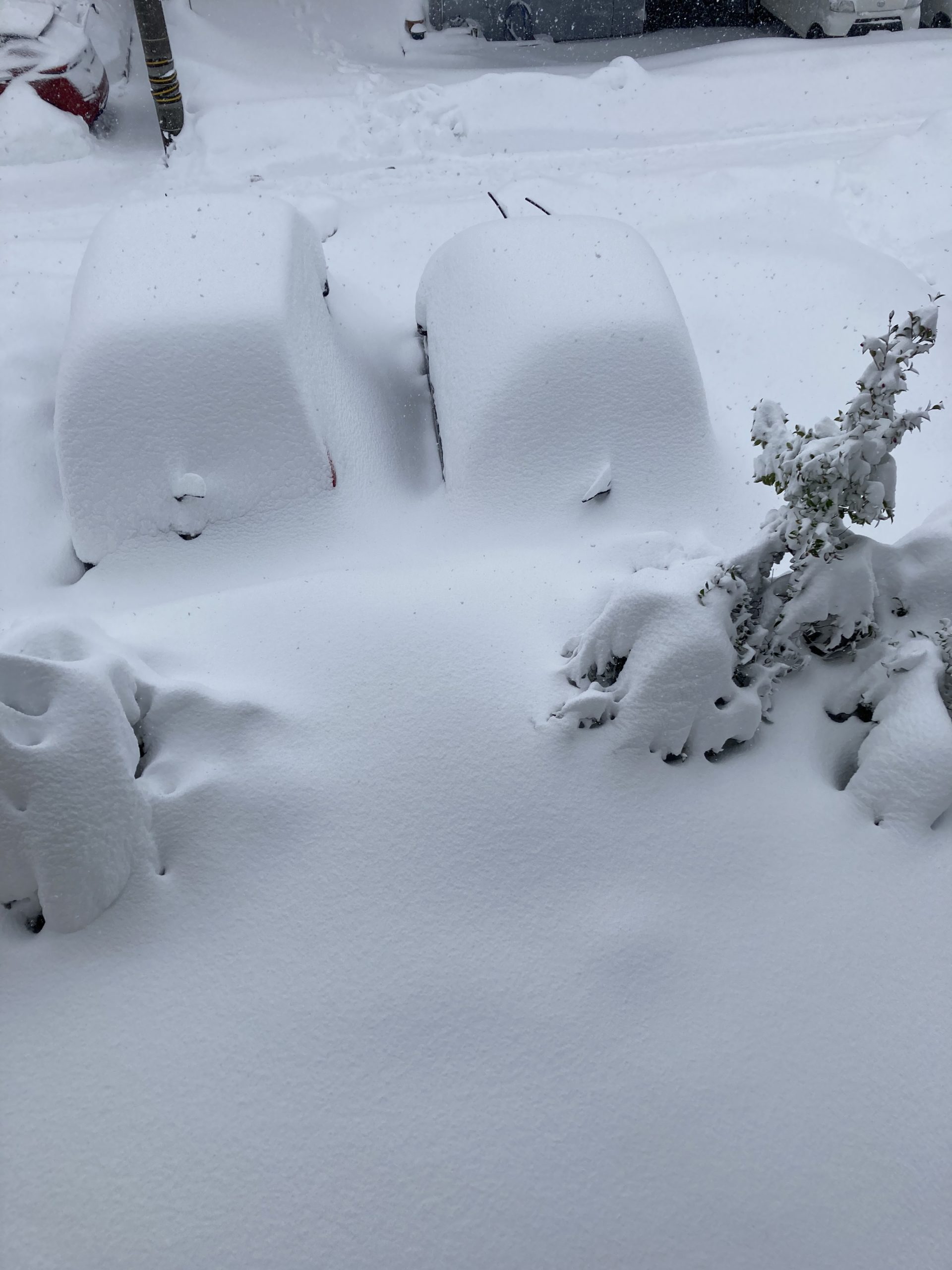 福井大雪 21年 3年前の豪雪と同程度の降雪量で車立往生やスーパー品薄